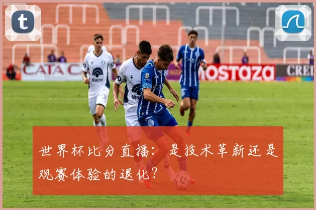世界杯比分直播:是技术革新还是观赛体验的退化?