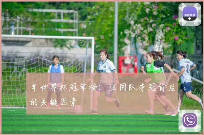 年世界杯冠军榜：法国队夺冠背后的关键因素