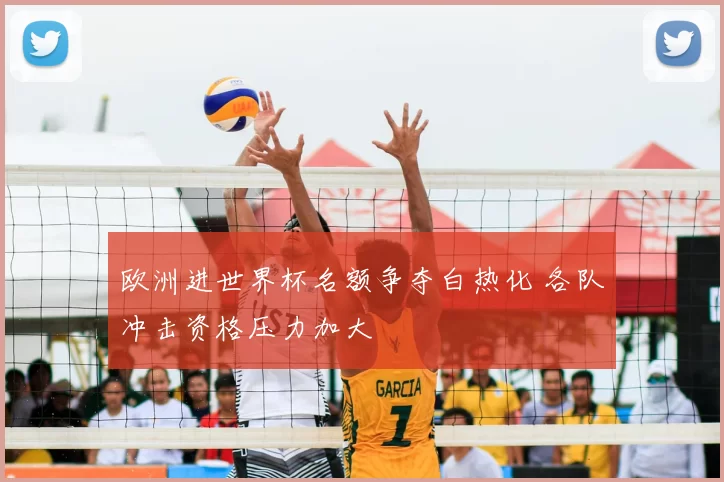 欧洲进世界杯名额争夺白热化 各队冲击资格压力加大