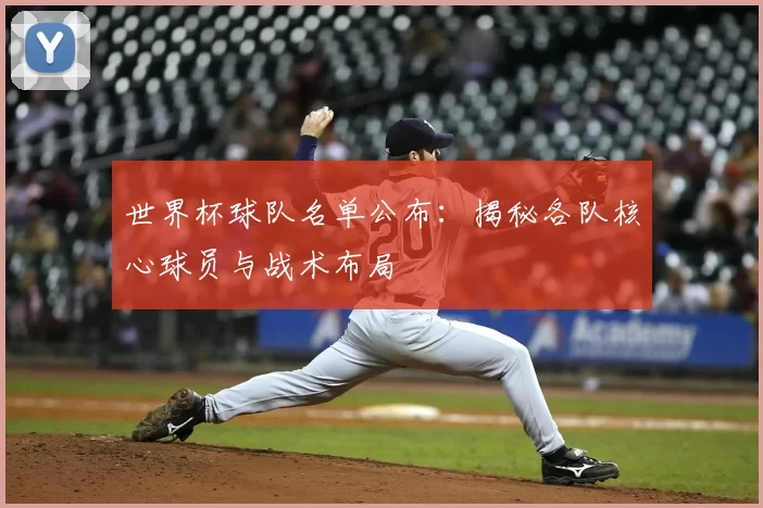 世界杯球队名单公布:揭秘各队核心球员与战术布局