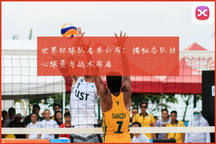 世界杯球队名单公布:揭秘各队核心球员与战术布局