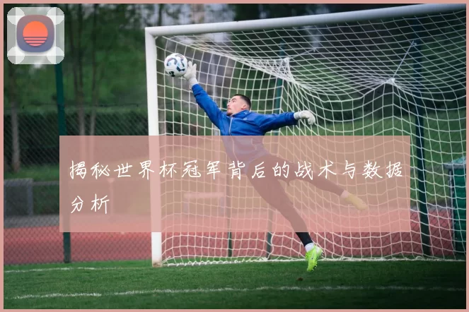 揭秘世界杯冠军背后的战术与数据分析