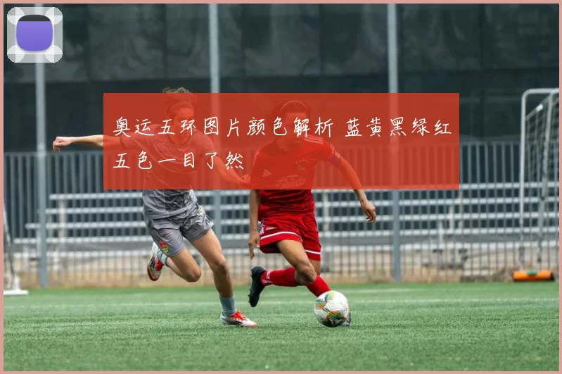 奥运五环图片颜色解析 蓝黄黑绿红五色一目了然