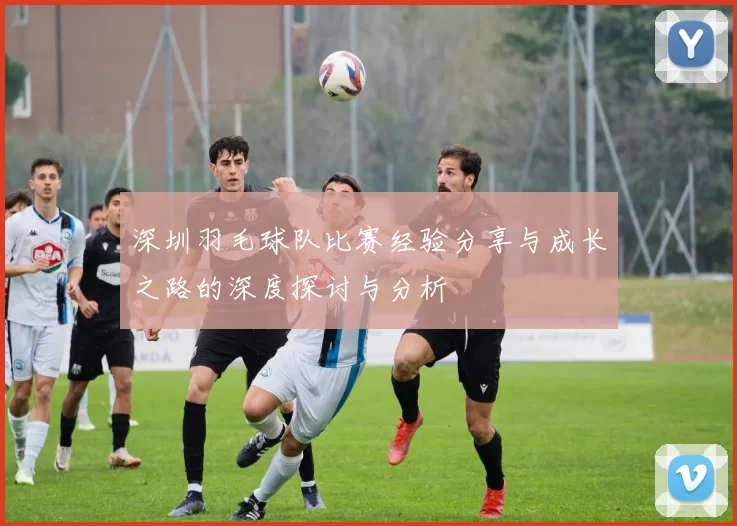 深圳羽毛球队比赛经验分享与成长之路的深度探讨与分析