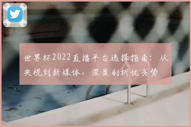 世界杯2022直播平台选择指南：从央视到新媒体，深度剖析优劣势