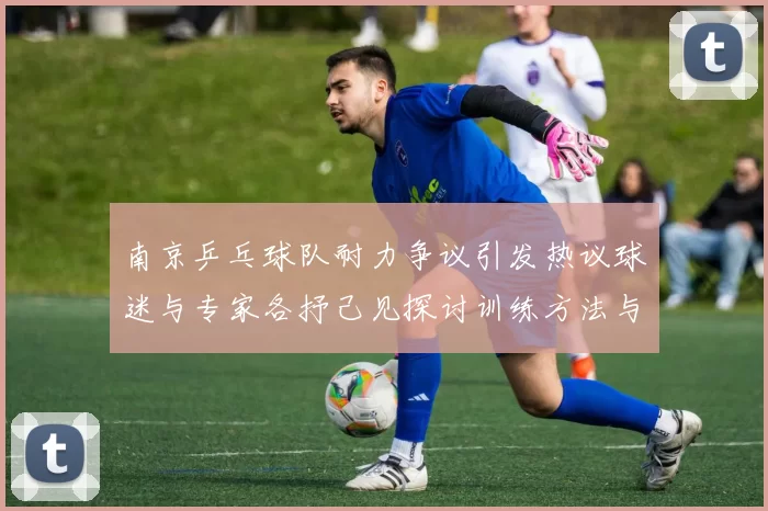 南京乒乓球队耐力争议引发热议球迷与专家各抒己见探讨训练方法与效果