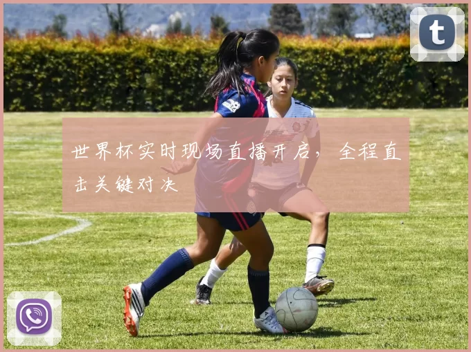 世界杯实时现场直播开启，全程直击关键对决