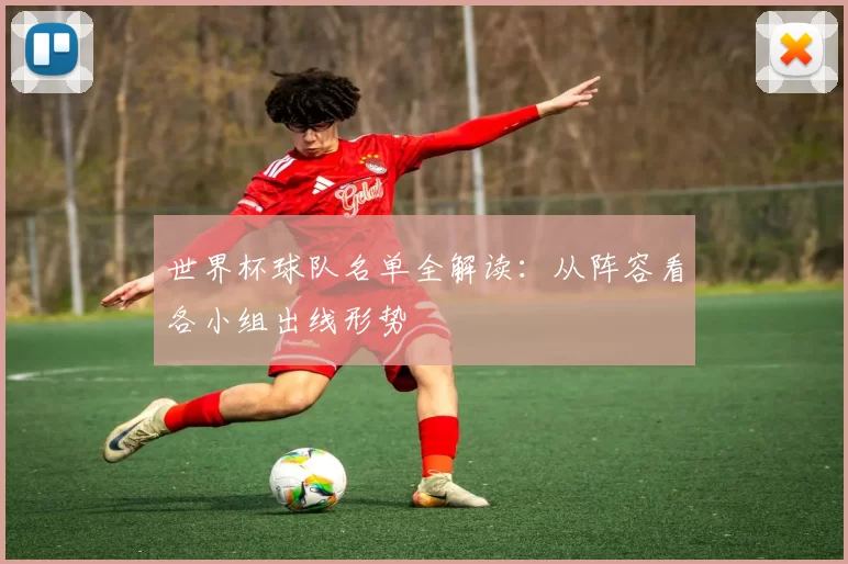世界杯球队名单全解读:从阵容看各小组出线形势