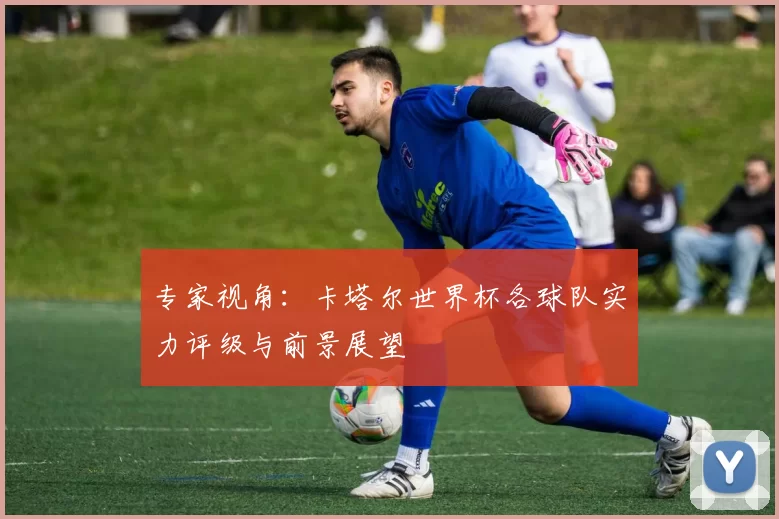 专家视角:卡塔尔世界杯各球队实力评级与前景展望