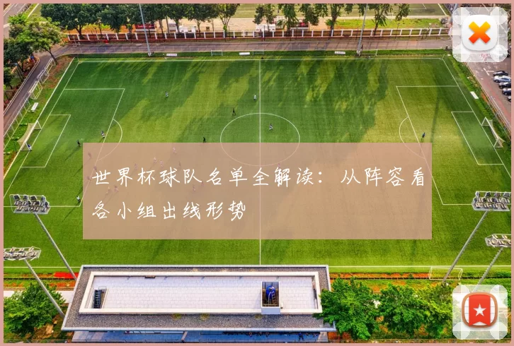 世界杯球队名单全解读:从阵容看各小组出线形势